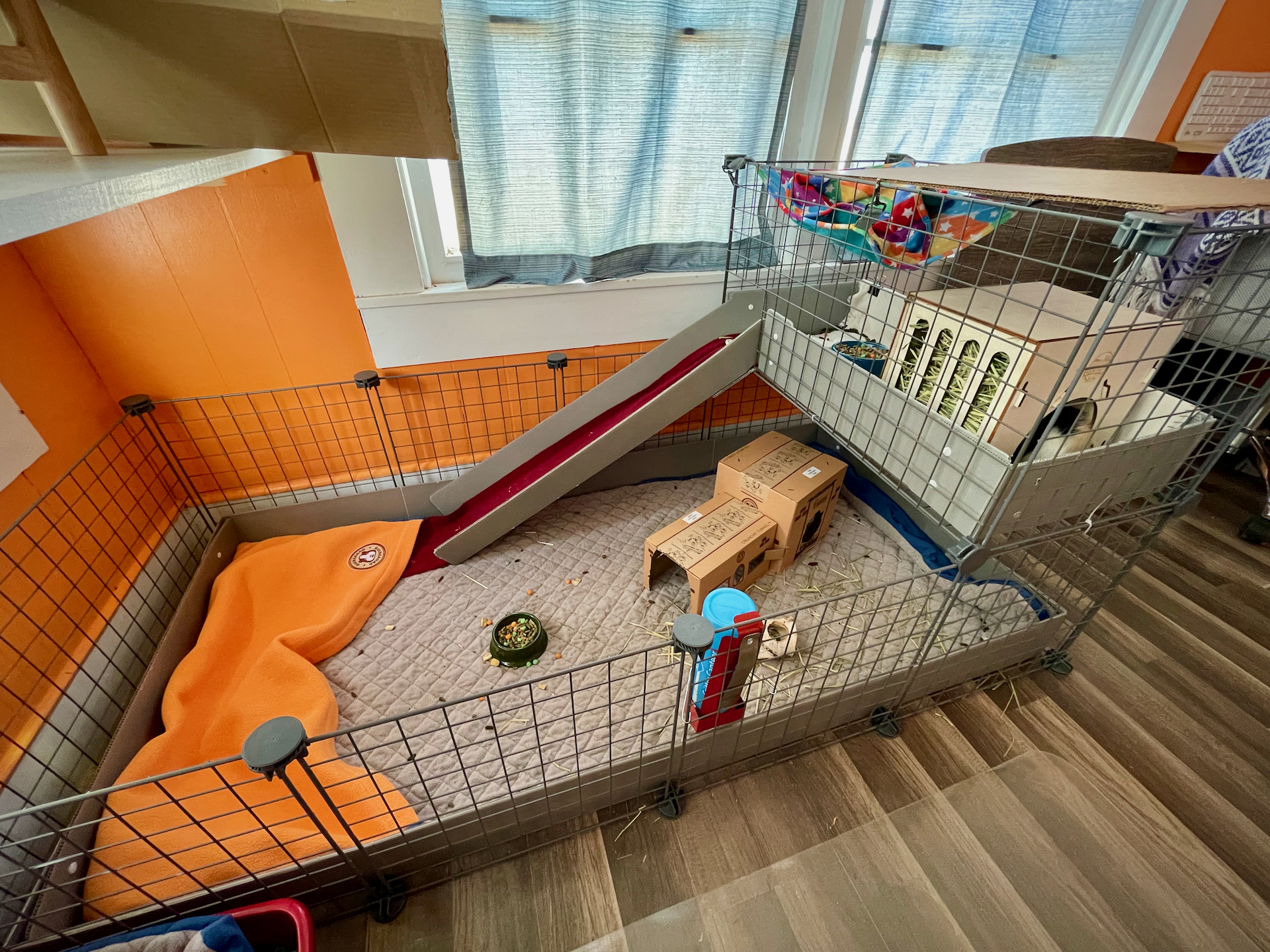 Wide angle view of Guinea Pig cage with balcony.